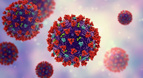 Variante da Covid-19: vírus da doença - Divulgação