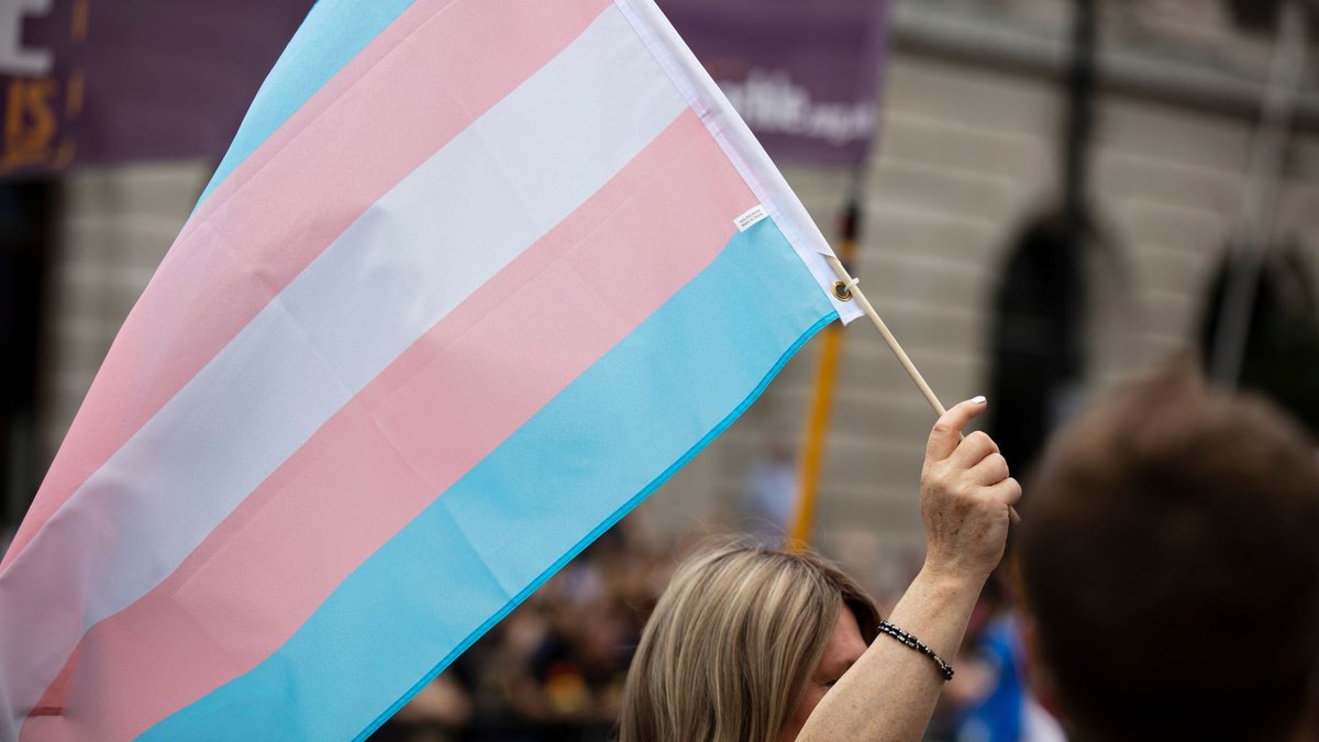 Cotas para transexuais: mulher segura bandeira trans