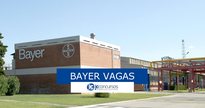 Bayer Estágio 2021 - Divulgação