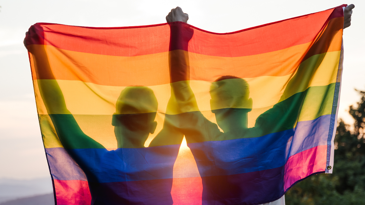 Casal gay de mãos dadas seguram a bandeira LGBTQIAPN+