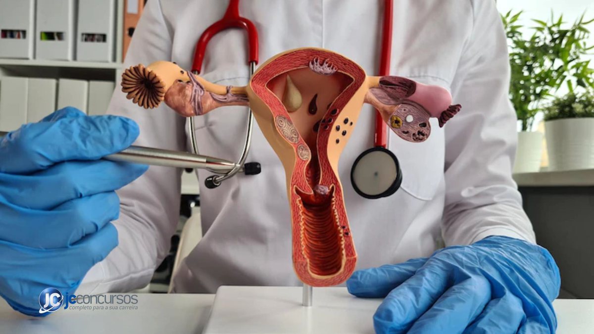 Médica apontando para objeto representa o sistema reprodutor feminino