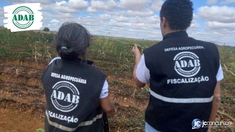 Concurso da ADAB: servidores da Agência Estadual de Defesa Agropecuária da Bahia de costas