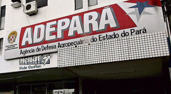 Concurso Adepará - Divulgação