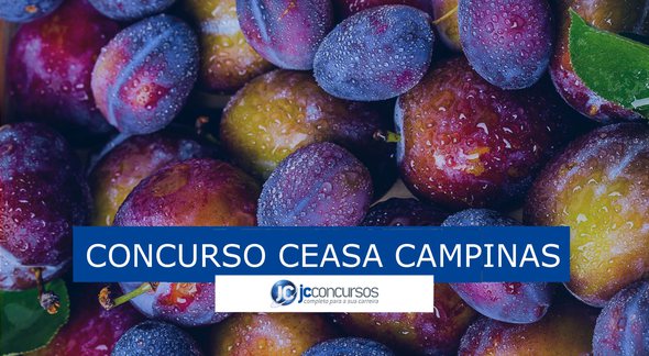 Concurso Ceasa Campinas - Pixabay