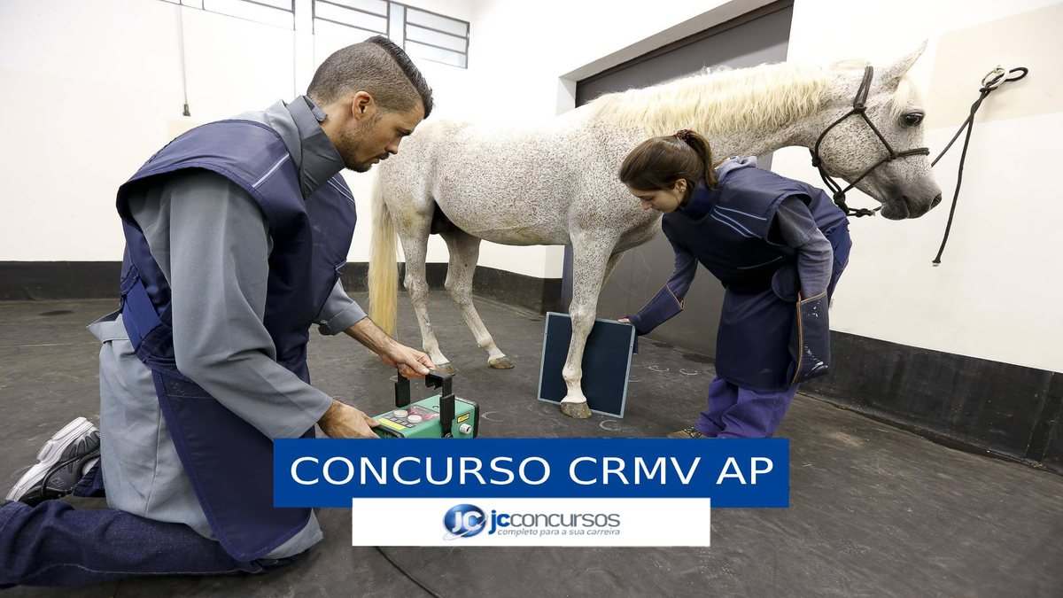 Concurso CRMV AP - cavalo durante atendimento veterinário