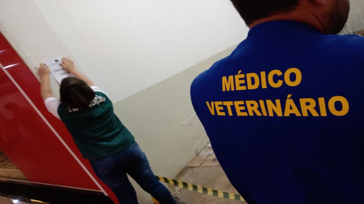 Concurso do CRMV MS: servidores do Conselho Regional de Medicina Veterinária de Mato Grosso do Sul durante fiscalização