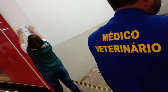 Concurso do CRMV MS: servidores do Conselho Regional de Medicina Veterinária de Mato Grosso do Sul durante fiscalização - Divulgação