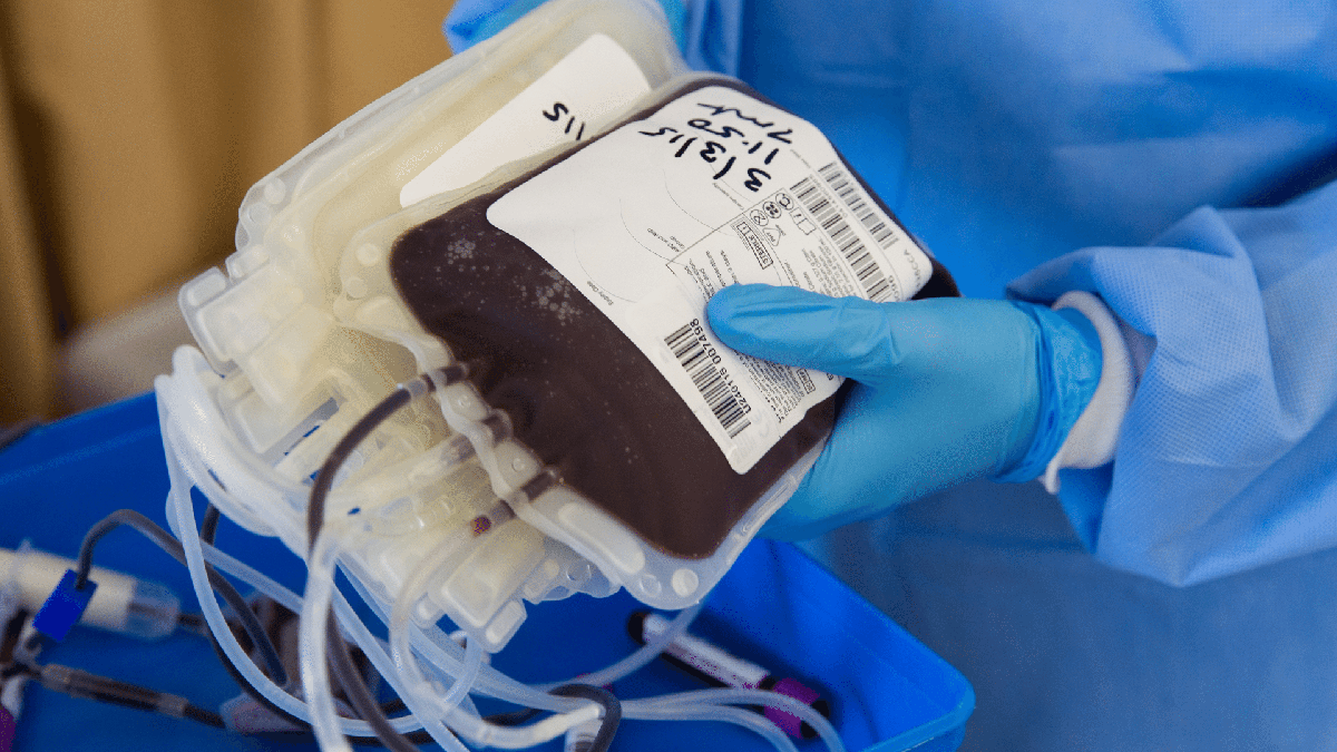 Processo Seletivo HemoMinas: profissional segura bolsa de doação de sangue