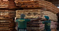 Concurso Ibama: servidores usam trena para medir madeira ilegal apreendida - Divulgação