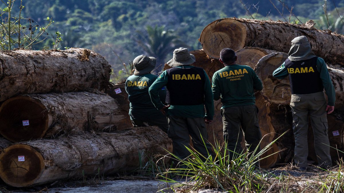 Concurso do Ibama: servidores realizam operação contra extração ilegal de madeira