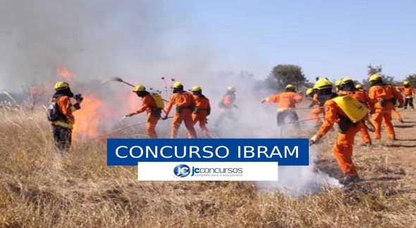 Concurso Ibram DF - brigadistas durante combate a incêndio em mata - Lula Lopes/Agência Brasília