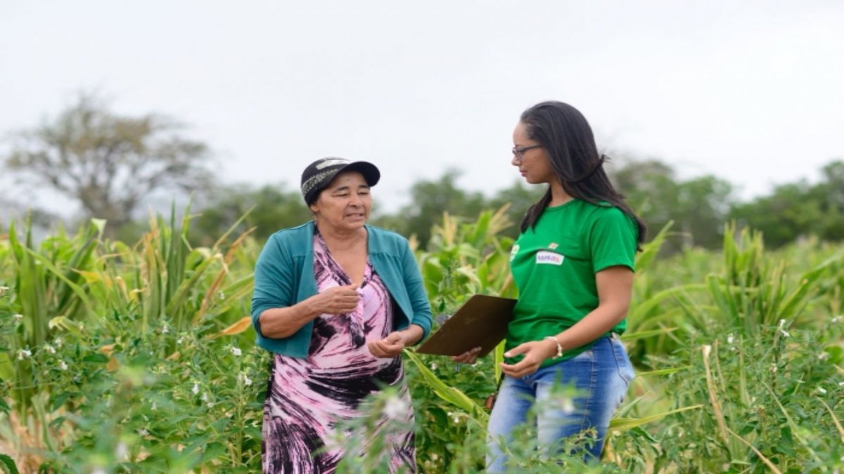 Concurso SDR BA: no meio de plantação, agricultora conversa com servidora da Secretaria de Desenvolvimento Rural