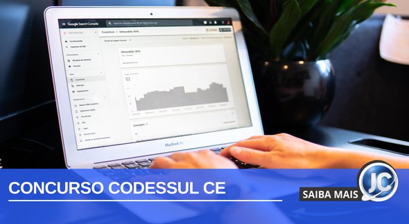 Concurso Codessul CE: trabalhador no computador - Banco de imagens