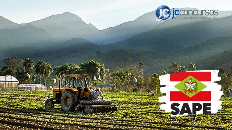 Concurso SAPE SC: formada comissão de novo certame para cargos de nível supeior