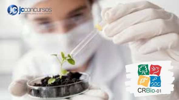 None - Concurso CRBio 1 SP MT MS: profissional de biologia freepik
