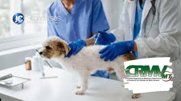 None - Concurso CRMV MT: profissional da área veterinária: Freepik