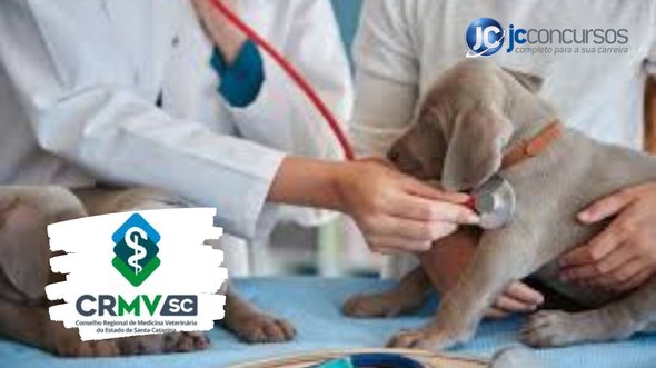 None - Concurso CRMV SC: profissional da área de medicina veterinária freepik