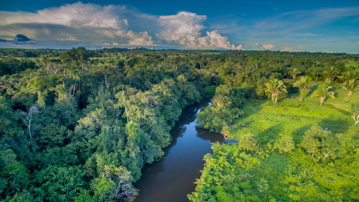 Floresta da Amazônia