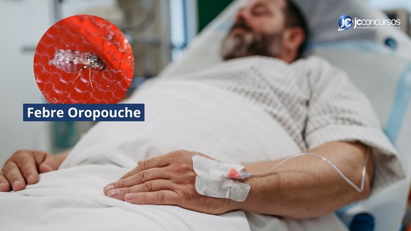 Sintomas da Febre Oropouche são semelhantes aos da dengue e da chikungunya - Canva/JC Concursos