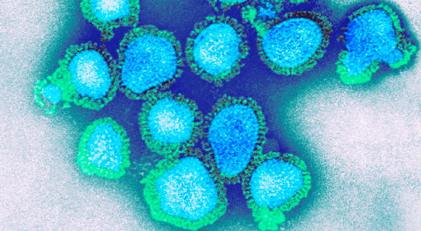 Gripe H3N2 é variante do vírus da Influenza A - Divulgação