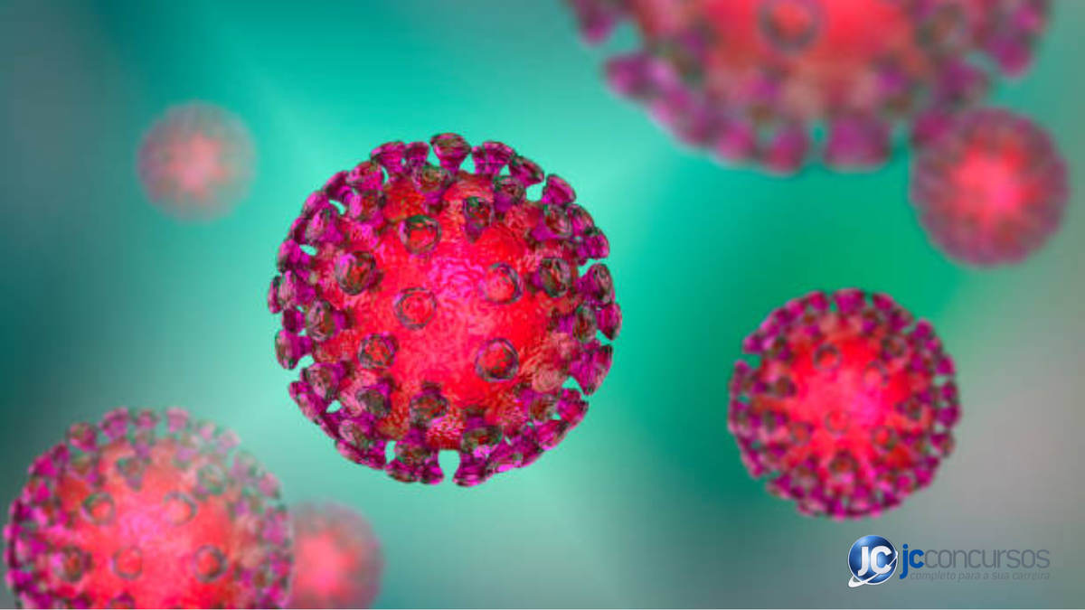 Papilomavírus humano (HPV)
