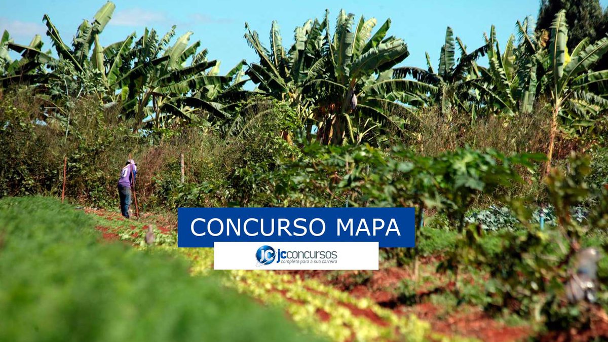 Concurso MAPA: plantação de orgânico