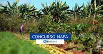 Concurso Mapa: pessoas trabalhando no campo - Divulgação