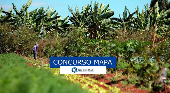 Concurso Mapa: agricultor em terreno - Divulgação
