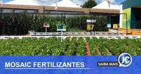 Mosaic Fertilizantes - Divulgação