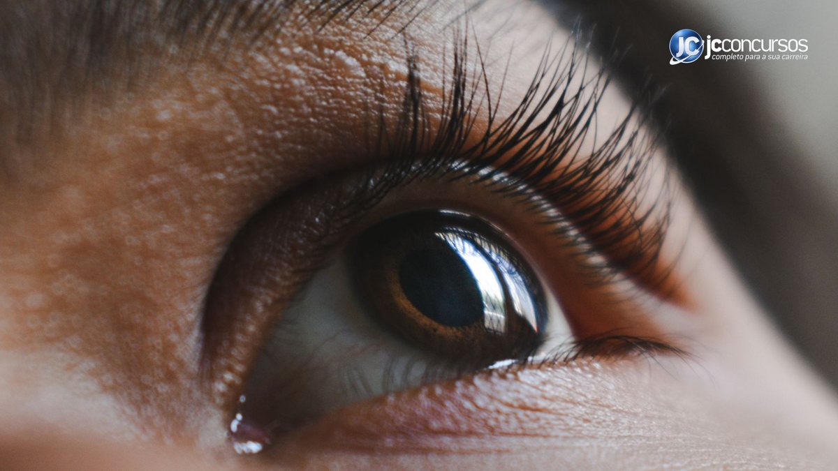 Glaucoma pode levar à cegueira se não houver cuidados e tratamento adequados