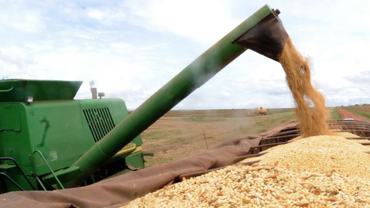Produção de grãos no país deve ter crescimento histórico
