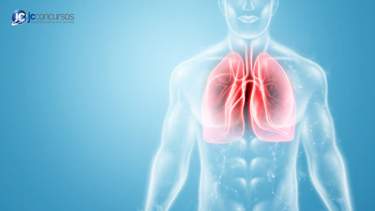 Corpo humano com pulmões em destaque