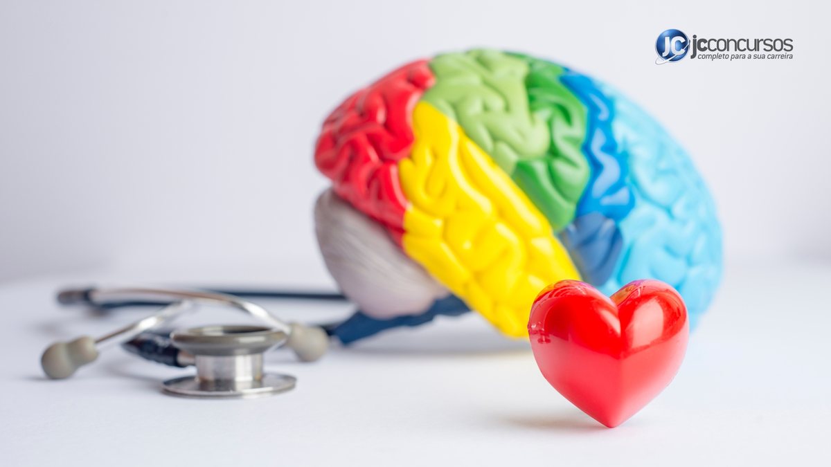 Cérebro colorido ao lado de estetoscópio e coração de plástico vermelho