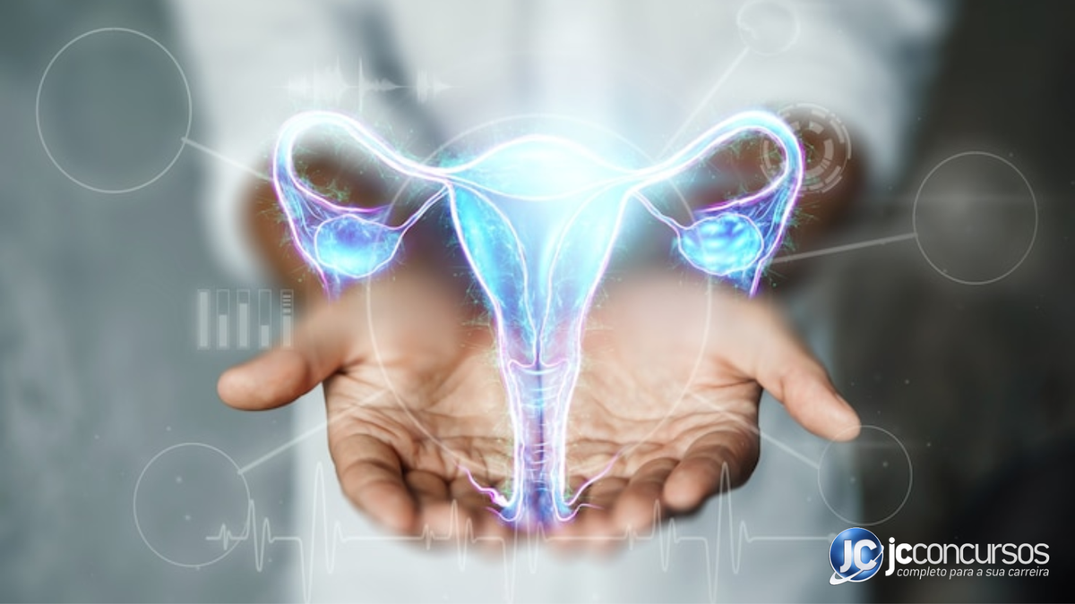 Imagem digital do sistema reprodutor feminino