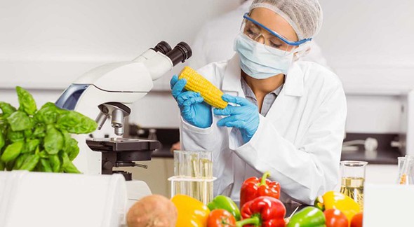 Técnico em Alimentos - Shutterstock
