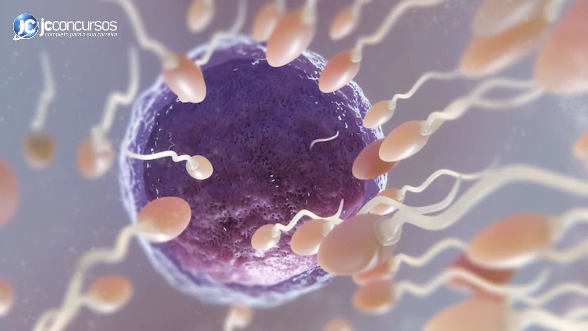 Espermatozoides em direção ao óvulo - Freepik