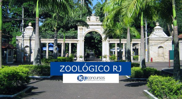RioZoo Estágio 2020 - Divulgação