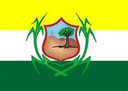 Prefeitura Timbaúba (PE) 2020 - Prefeitura Timbaúba