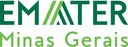 EMATER (MG) 2018 - Analista, Assistente ou Auditor - EMATER (MG)