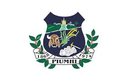 Prefeitura de Piumhi (MG) 2026 - Prefeitura Municipal de Piumhi