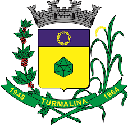 Prefeitura de Turmalina (SP) 2023 - Prefeitura Turmalina