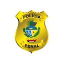 Polícia Penal de Goiás 2024 - Polícia Penal de Goiás