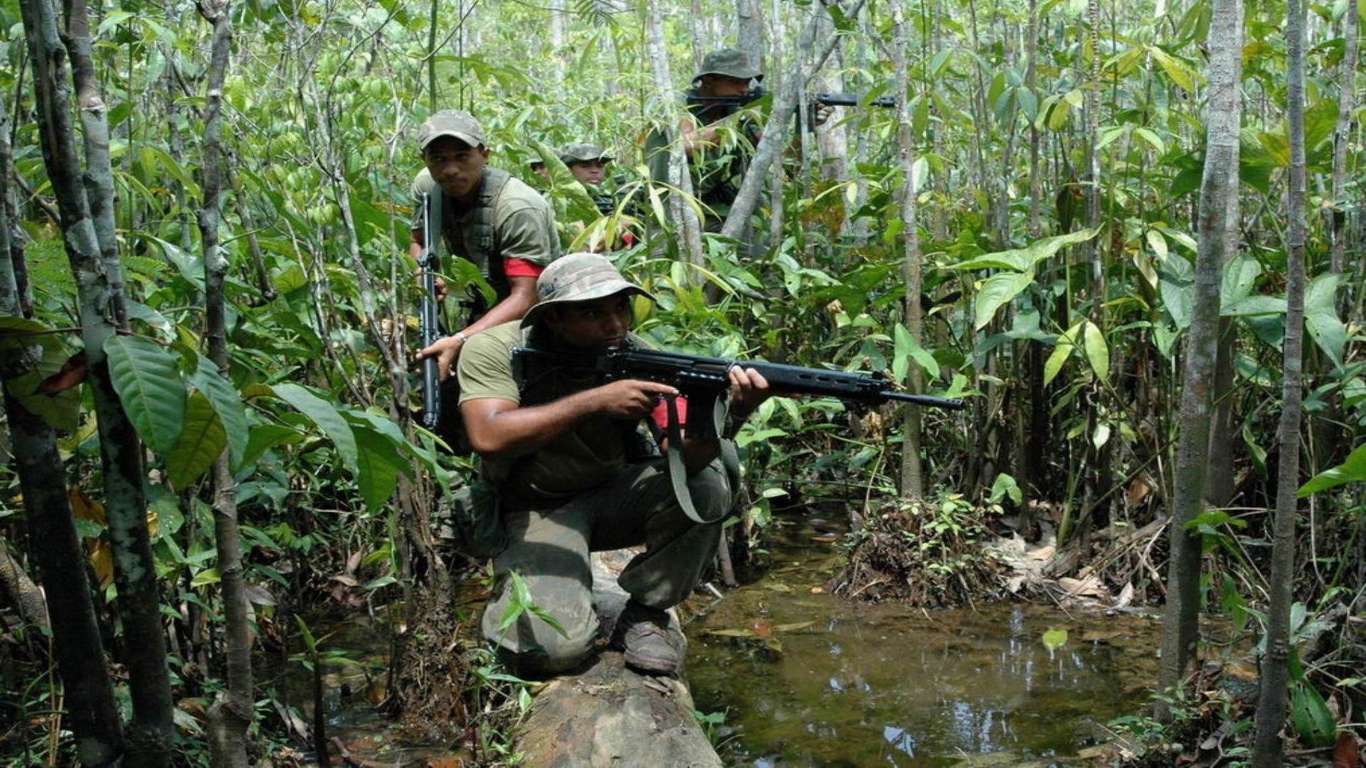 Militares realizam treinamento em área pantanosa